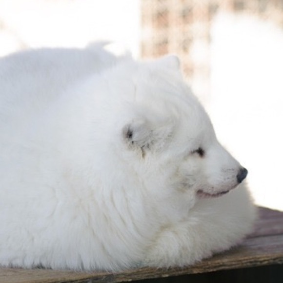 Meet your Posher, Emily - Picture 1 of 1